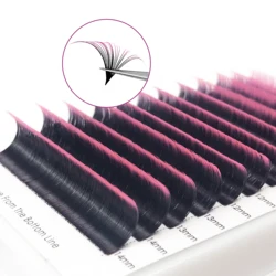 Ombre Colored Eyelash Extension Easy Fan Individual Lashes Faux Mink Red Green Pink Blue Purple Lash Professional Supplies