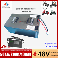 48V 50AH 80Ah 100Ah Lifepo4  battery pack for Ryobi RM480e RM300e ZT480ex 300MV Zero Turn riding mower +10charger