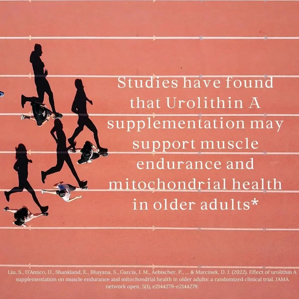 قوة معززة للخلية والحيوية المتقدمة - مسحوق فائق 60000 ملجم - شهادة المختبر