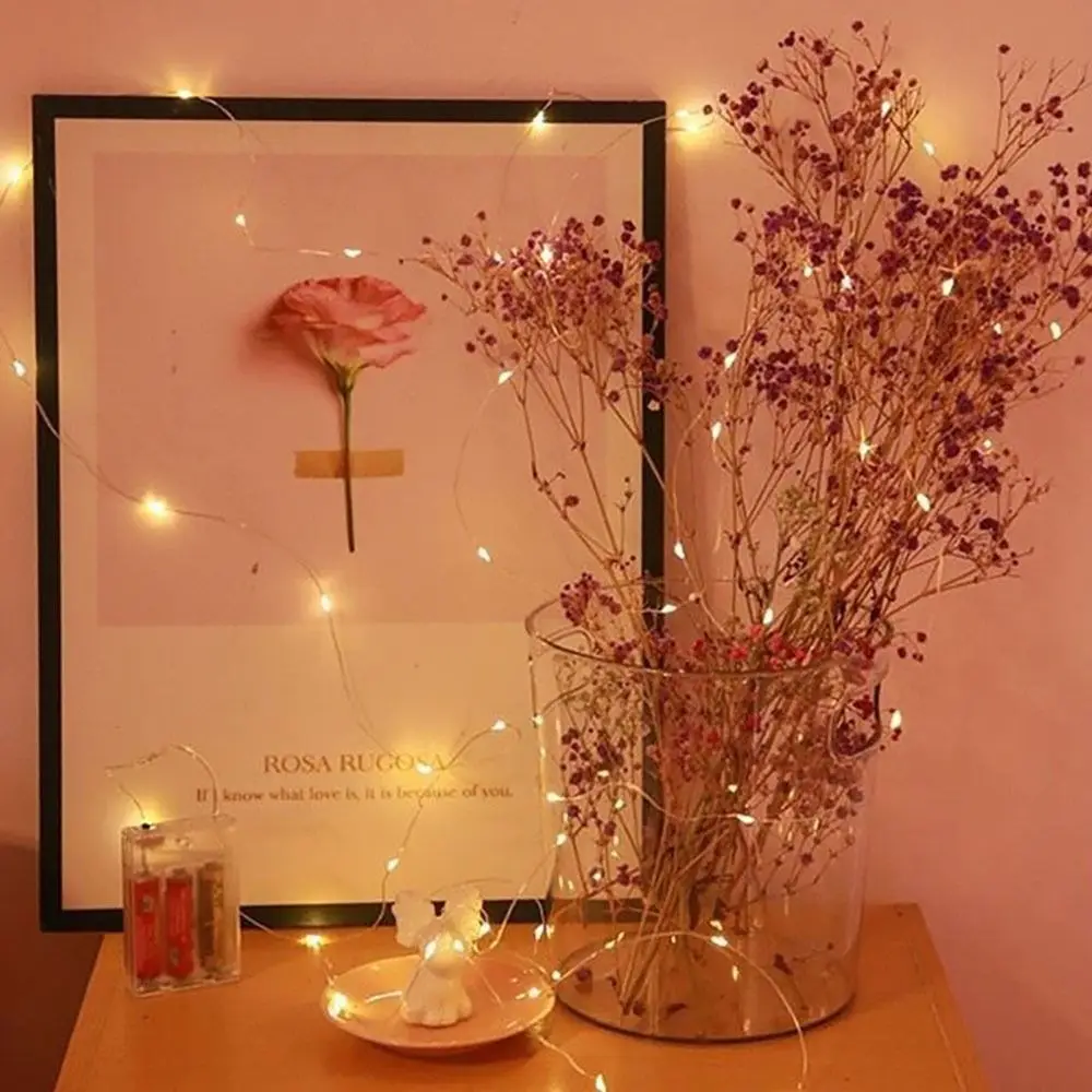 USB LED String Light 1/2/3/5/10M Copper Silver Wire Fairy Light White Colorful 5V Garland Light