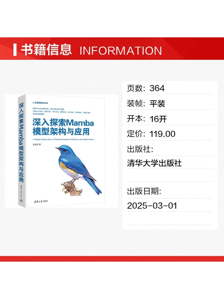 Book-Winshare In Depth Exploration Of the Mamba Model Architecture and Applications