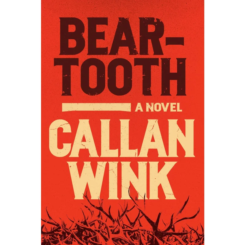 

Beartooth Callan Wink Spiegel Grau 9781954118027 Книга