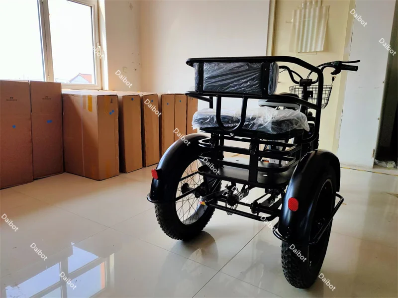 3-Rad 20-Zoll Fatbike für Erwachsene mit herausnehmbarem Akku, Elektrofahrrad 48V 500W, Elektro-Mountainbike mit Gepäckträger – Detail 13