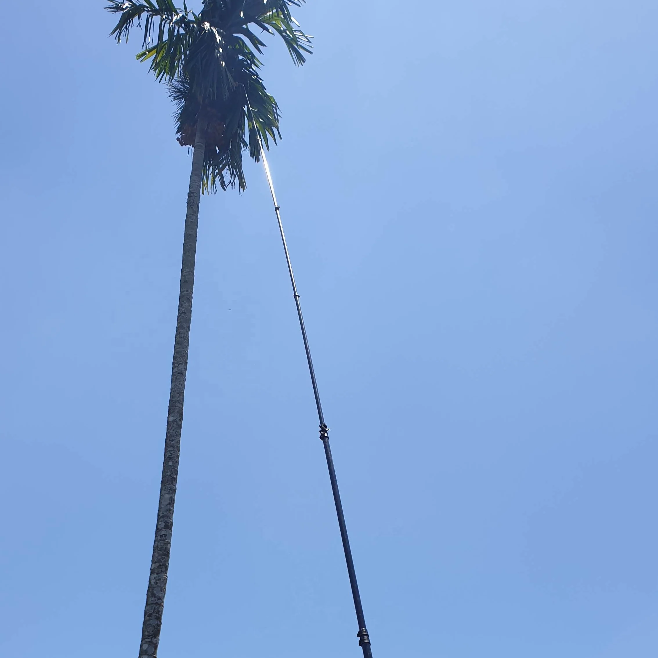 

70ft areca nut harvesting pole fruit picking pole carbon fiber coconut palm oil picker