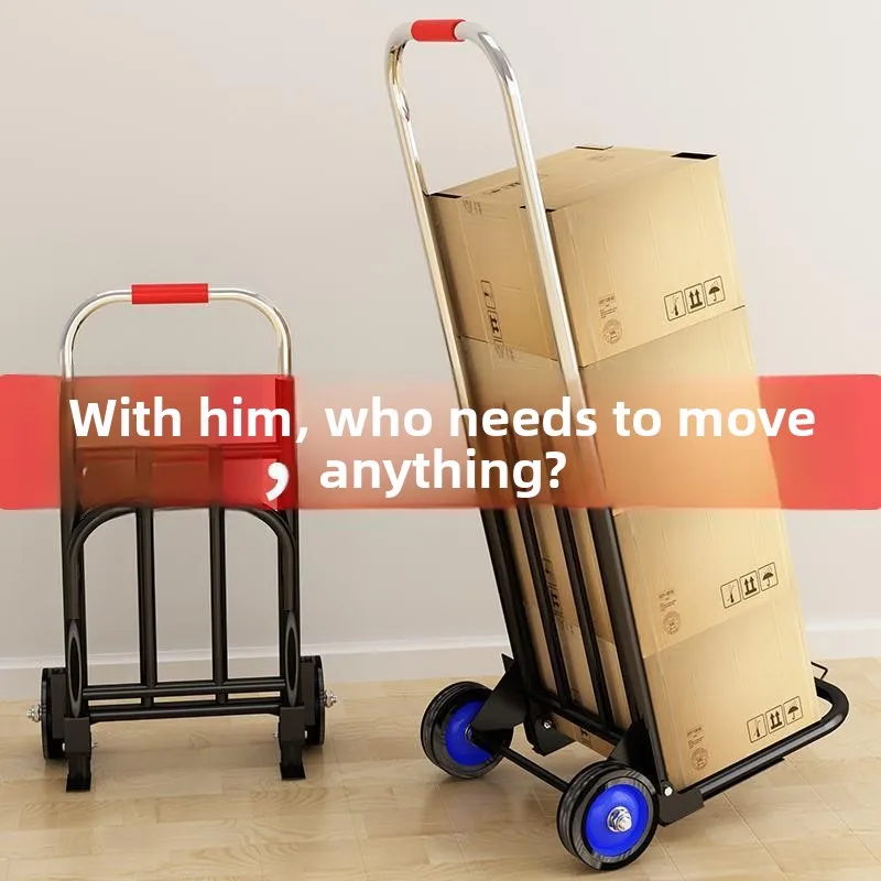 portable-shopping-cart-small-pulling-hand-pushing-vehicle-lightweight-vegetable-buying-stall-goods-mover-stainless-steel