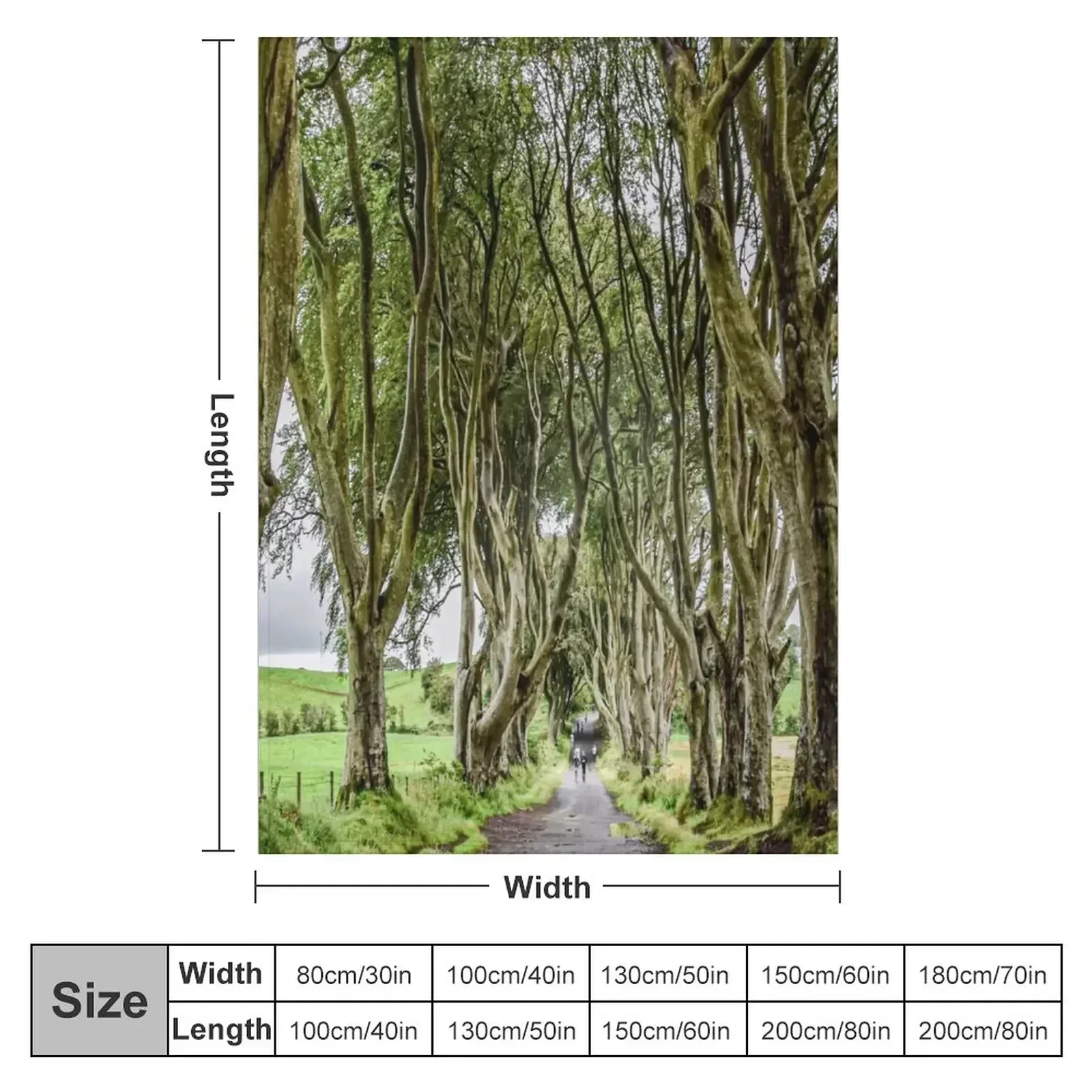 The Dark hedges Northern ireland Throw Blanket couch cozy soft plush fuzzy picnic outdoor blanket