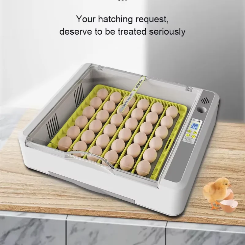 Incubator Egg Full Automatic Brooder Turning Farm 36 Eggs High Capacity Temperature Control Poultry Hatchery Machine