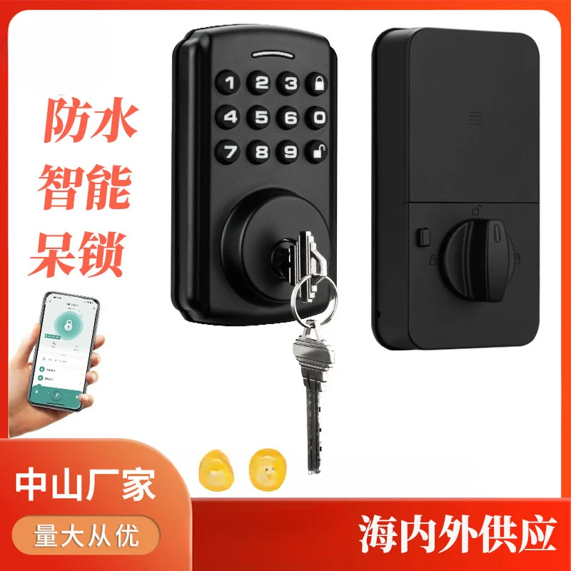 Fully automatic American waterproof stay  graffiti smart lock lock office  entry door password door lock electronic