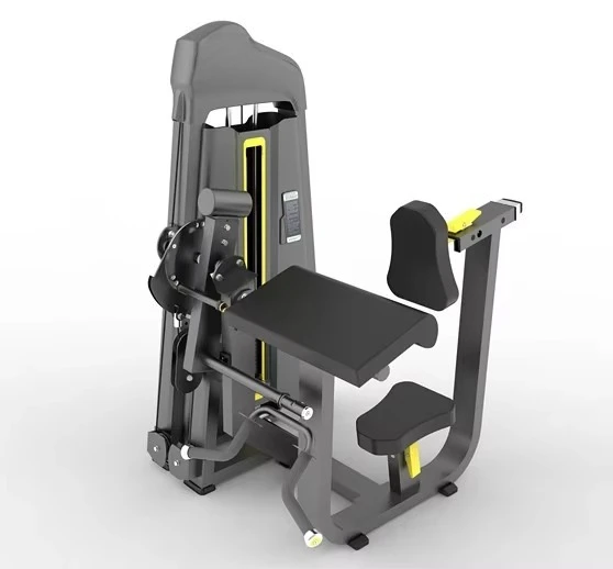 

Biceps+Triceps/Equipment Machine Dft-690/multifunction Fitness Equipment/certificated Quality Fitness Equipment