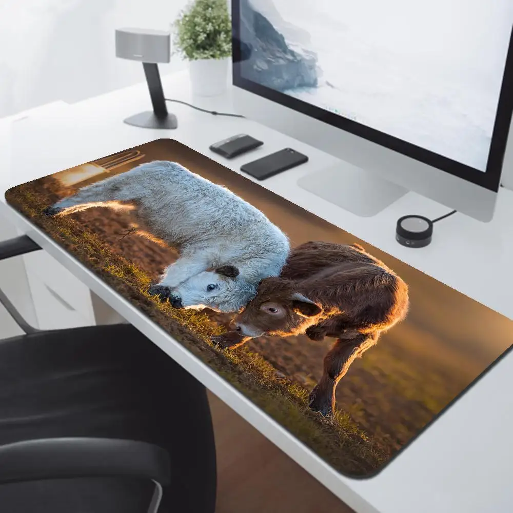 Non-Slip Highland Cow Desk Mat for Gaming Office Large Mouse Pad Comfortable Typing Precision Mouse Control Gift for Teens