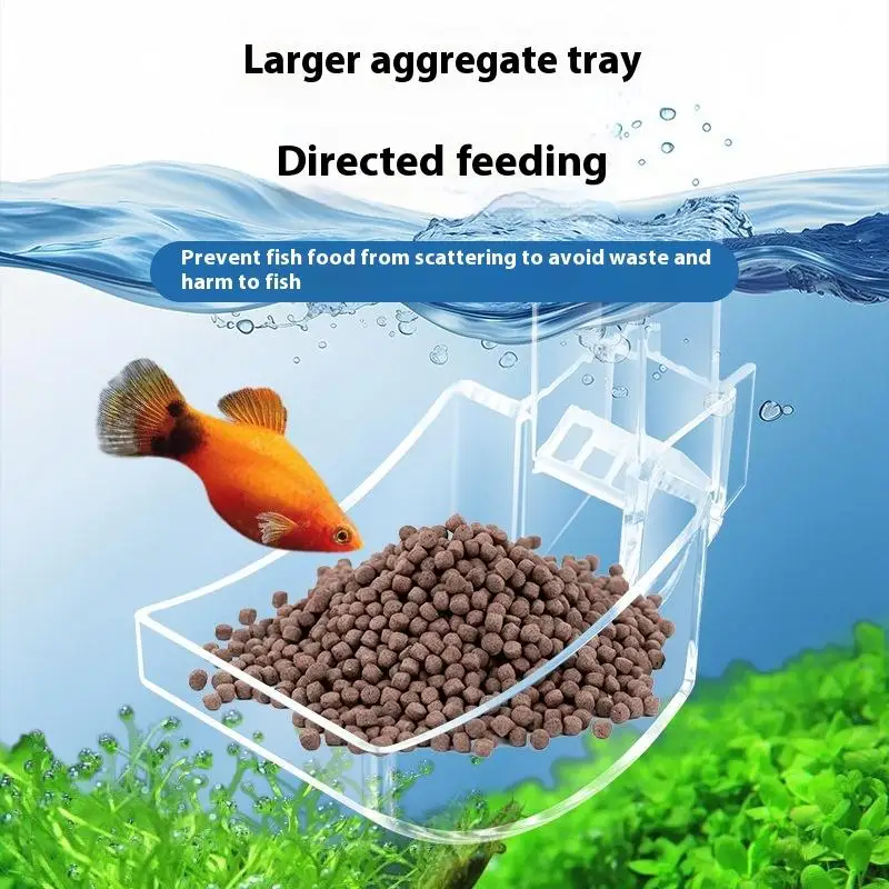 أداة تغذية الروبيان والحلزون، طبق أكريليك شفاف وأنبوب لخزانات الأسماك #3