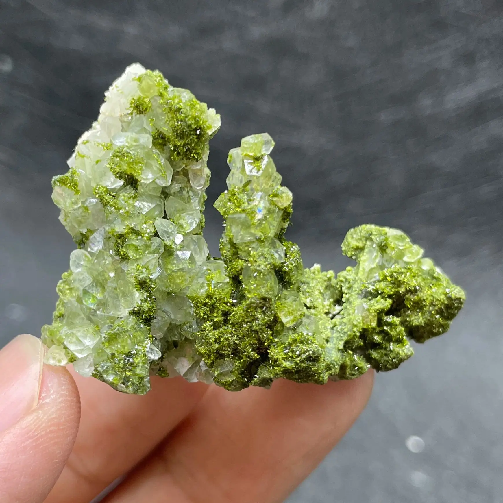 

Natural Green Epidote Clear Quartz Crystal Symbiosis Rough Specimen Rock Healing Teaching Stone Home Decor
