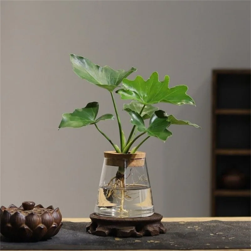 

3pcs Hydroponic Plants Glass Flower Vase Home Decoration Transparent Small Vase Plant Pots Tabletop Ornament