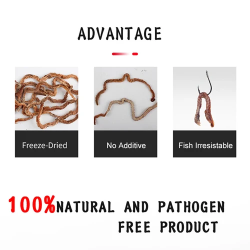 Imagen 2 del producto 6g/10g gusanos de arena secos cebo eléctrico Señuelos de pesca agua salada alimentador de agua dulce gusanos de pesca de mar olor cebo Artificial suave