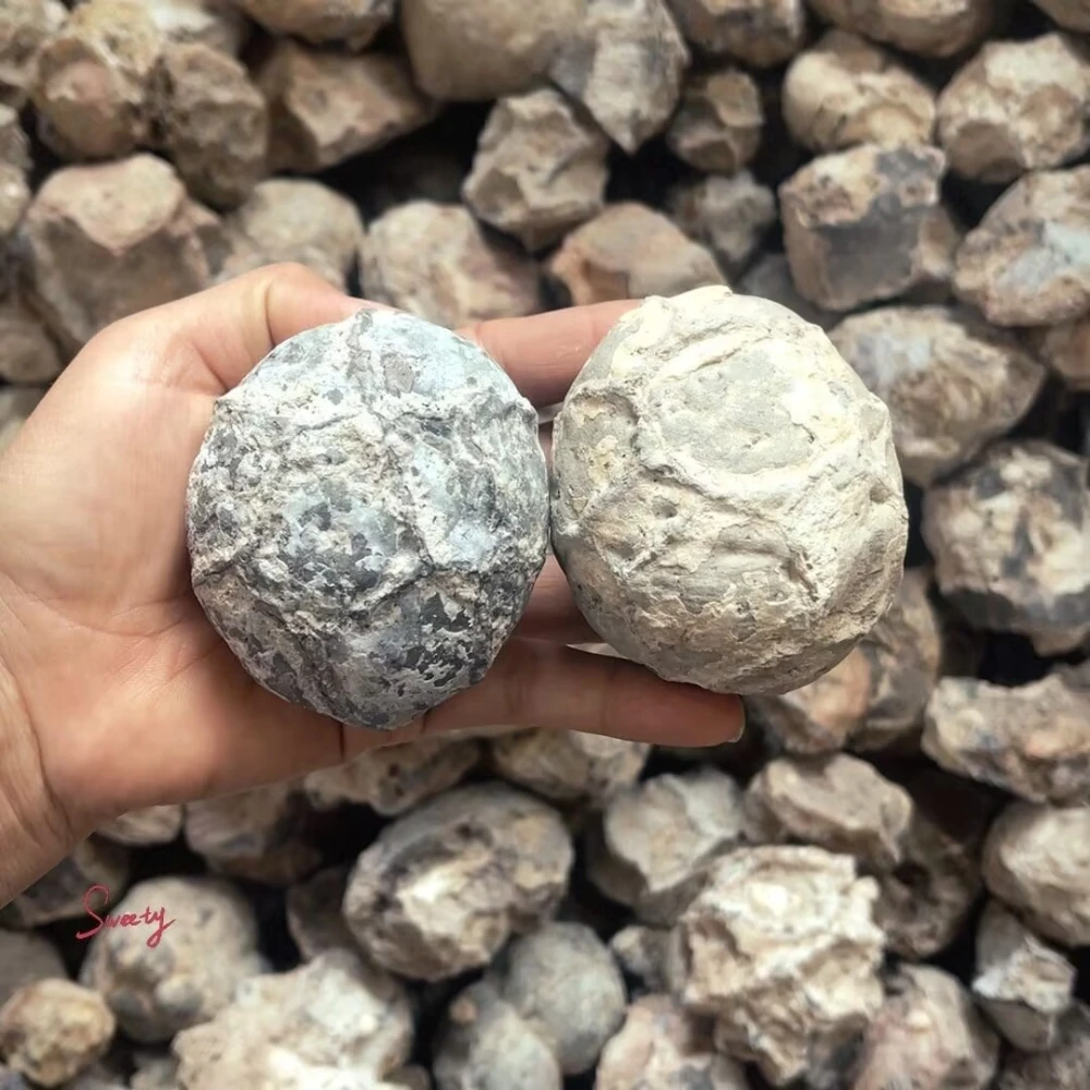 300-400g Uncut Natural Agate Raw Stone Irregular Wonderful Mineral Specimen Collectibles Ornaments Home Decor