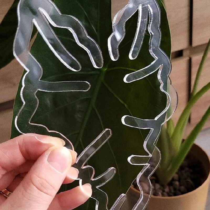 Y estacas de suporte para plantas, suporte transparente em forma de monstera, reutilizável, resistente, clipe de retenção de folhas de flores, para plano em vaso