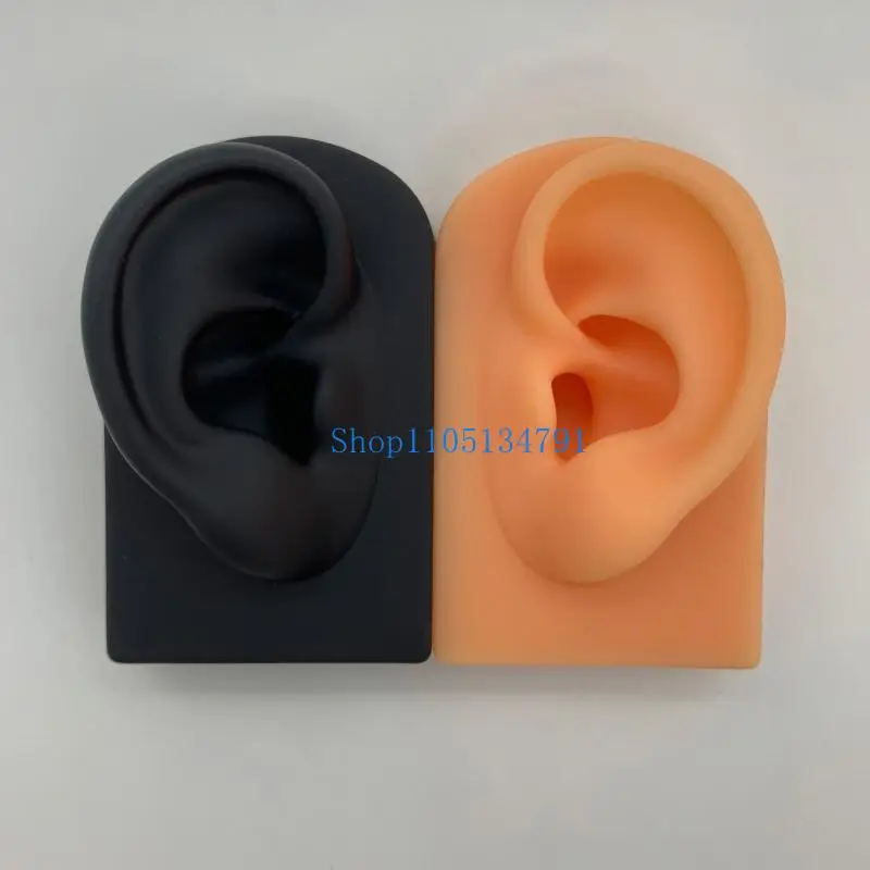 

98km Silicone Simulation Human Ear Model Puncture and Perforation Practice Teaching Display Props Ear Studs Display Stand