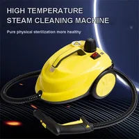 2000W Multi-function Steam Cleaner High Temperature Sterilization Disinfection Car Interior Steam Cleaner For Floor Kitchen Car