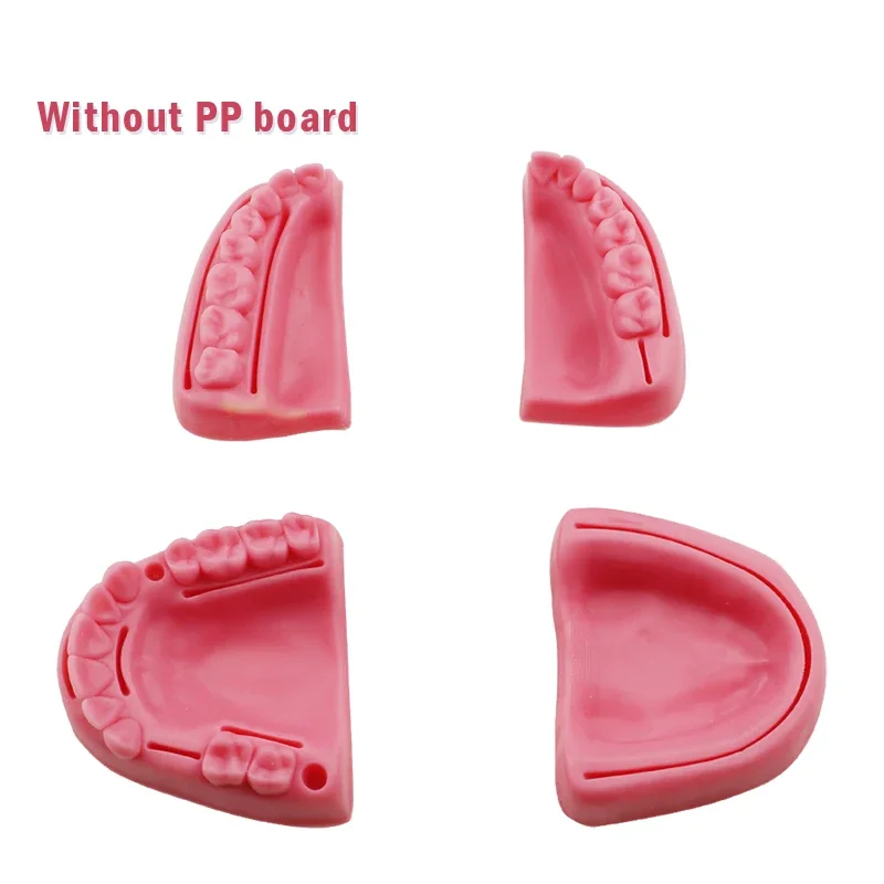

Oral Suture Module Oral/gum Suture Training Module Dental Oral/Gum Medical Skin Suture Pad Model Dental Tool