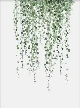 

Lot style Choose Water color Tropical Plant leaves Art print Silk poster Home Wall Decor