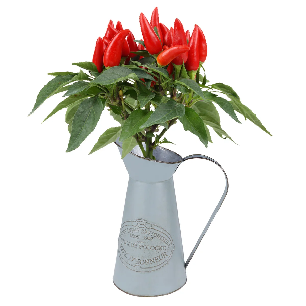 

French Style Rustic Metal Pitcher Vase Flower Jug Wedding Home Decor Decorative Accent Vase Suitable for Living Room