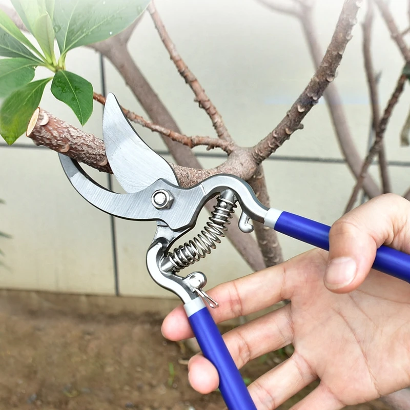Professional Horticultural Pruning Shears Manual Effort-Saving Plant Flower Branch Fruit Tree, Lawn Trimming Tool Sharp Scissors