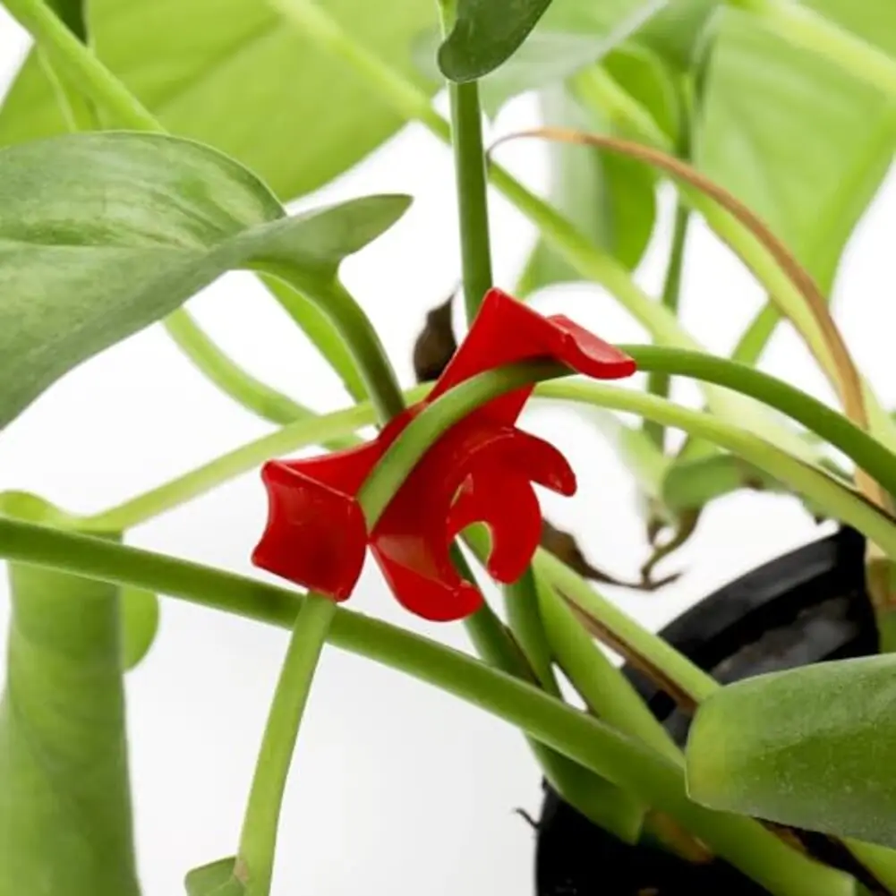 100Pcs Plastic Plant Stem Bender Clips Low Stress Training Branch Support For Greenhouse Garden Vegetables Flowers Vine