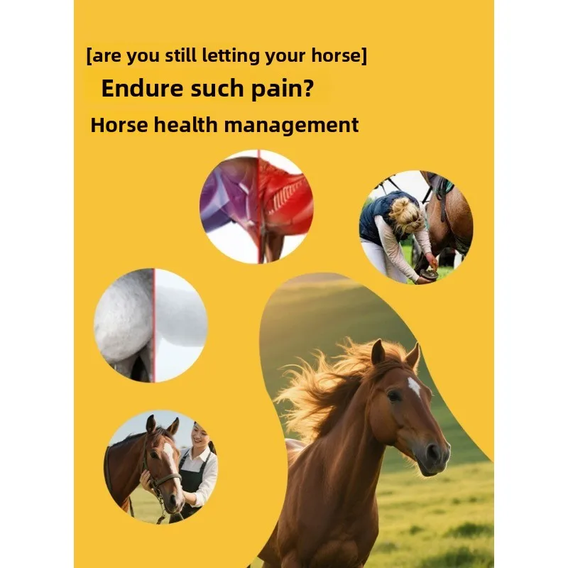 Horse Hoof Red Light Therapy Wrap Cordless Rechargeable Equine Care Device Adjustable Strap Equestrian Post Exercise Grooming