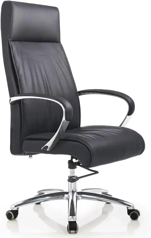 Modern Forbes Genuine Leather Aluminum Base High Back Executive Chair - Black