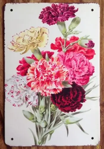 Vintage Carnations Bunch Flowers Retro Style Metal Sign Garden Kitchen Floral sign