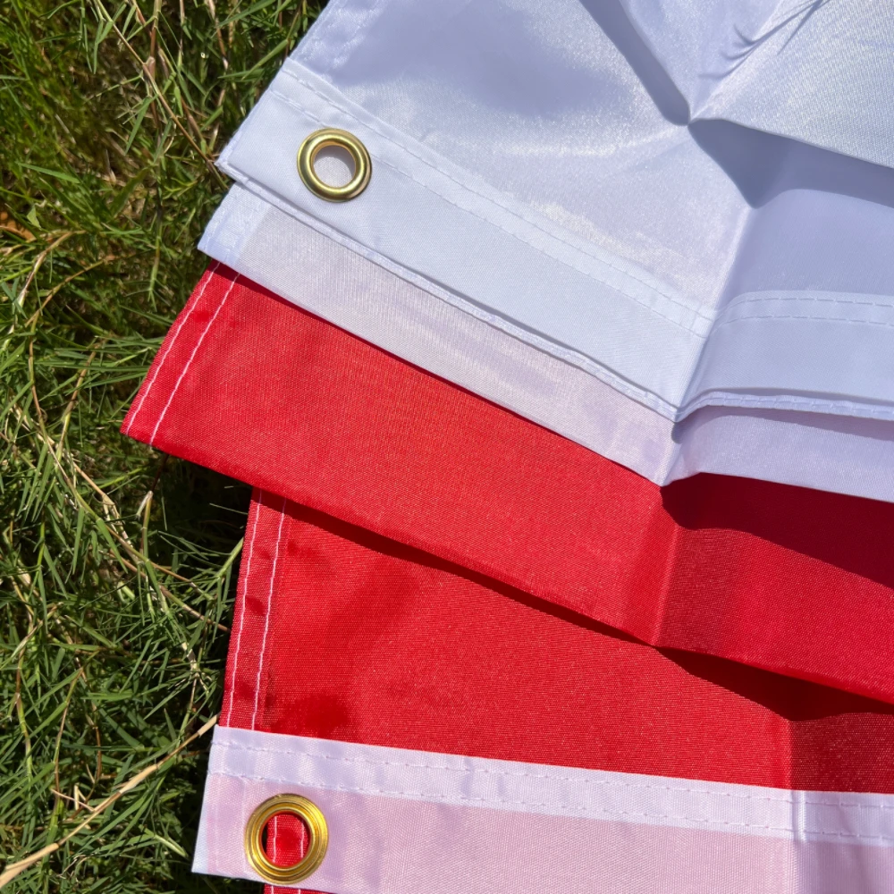 90x150 سنتيمتر معلقة البوليستر روسيا رئيس العلم العلم الروسي البوليستر روسيا الوطنية راية #5