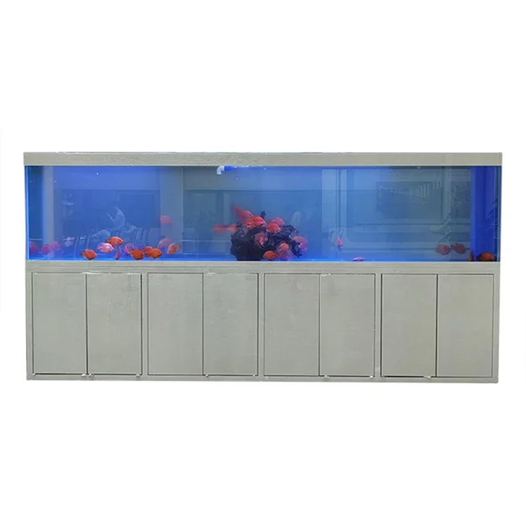 Acrylic Big Fish Tank Rectangle Plastic Grandview Acrylic Factory Custom Large Size Aquariums & Accessories Sustainable 100 MM