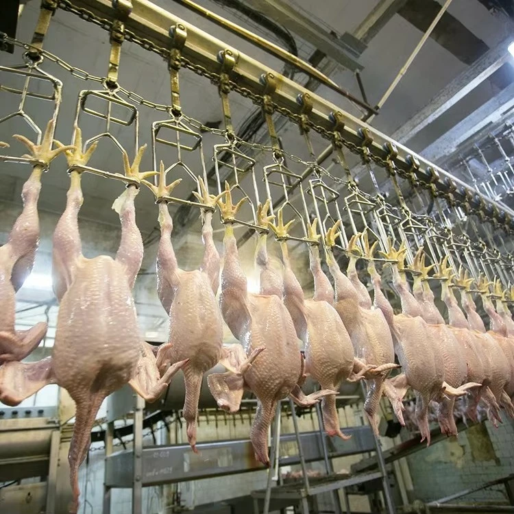 FL Semi‑Automatic Poultry Slaughter Line Simple Chicken Butchering Equipment for Beginner Chicken Farm Operator
