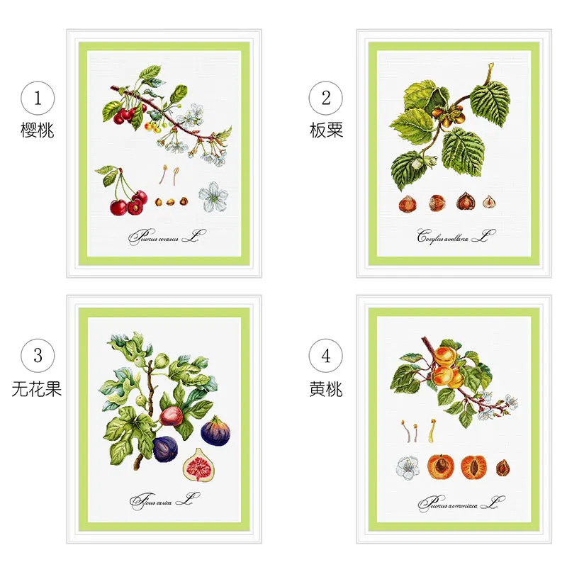 Fishxx Cross Stitch Dining Room Embroidery Kit S343 Fruit of Autumn Four Precision Prints Harvest Season