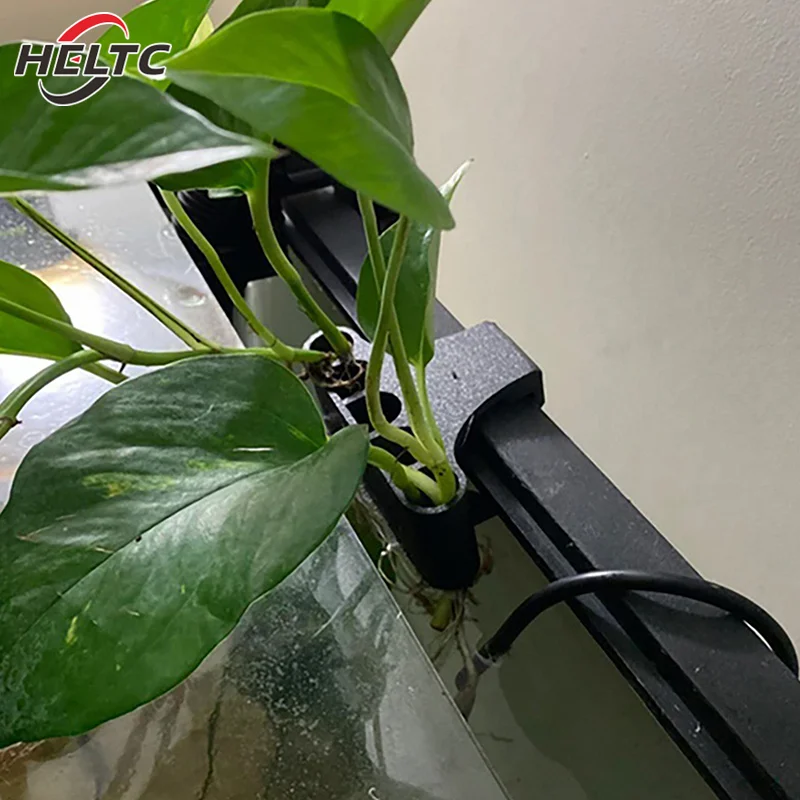 5 Holes Aquatic Pla…