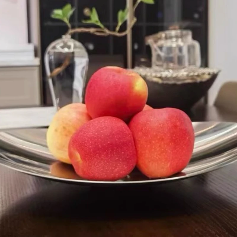 Modern Luxury 304 Stainless Steel Fruit Tray with Mirror Polish Snack Plate Creative Coffee Table Decor for Living Room Home