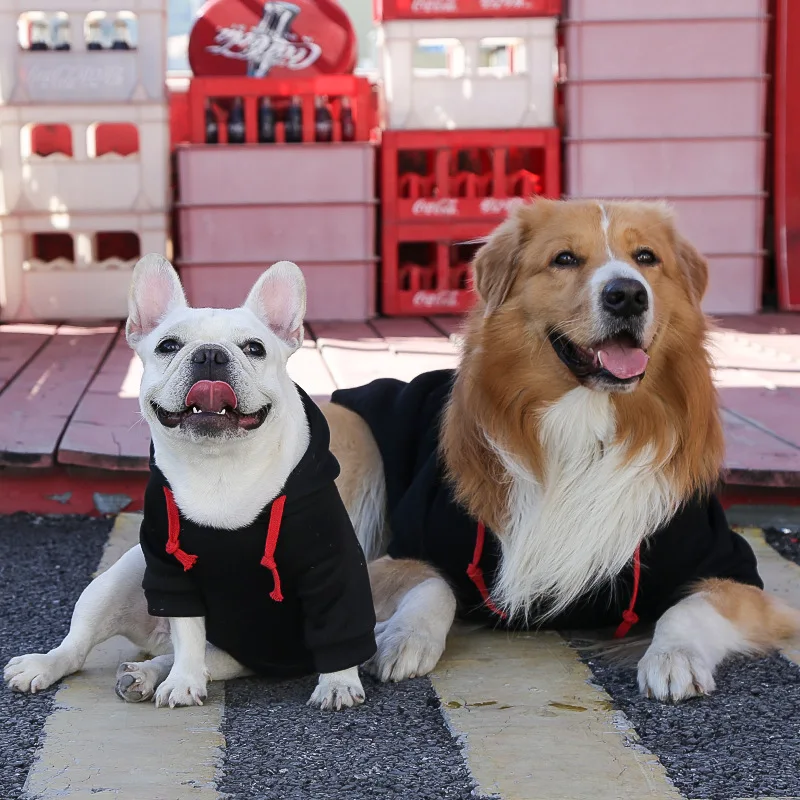 Thumbnail 2 - #25 Dog Coats List of Top Picks