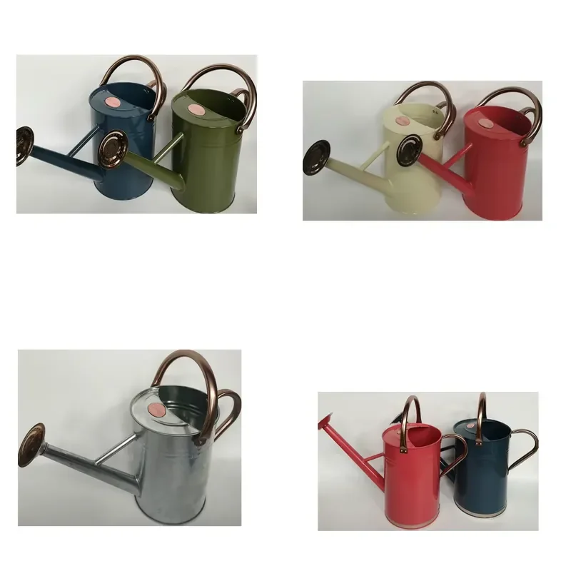 2 Gallon 9 Liter Metal Watering Can for Outdoor and Indoor Garden Plant Watering