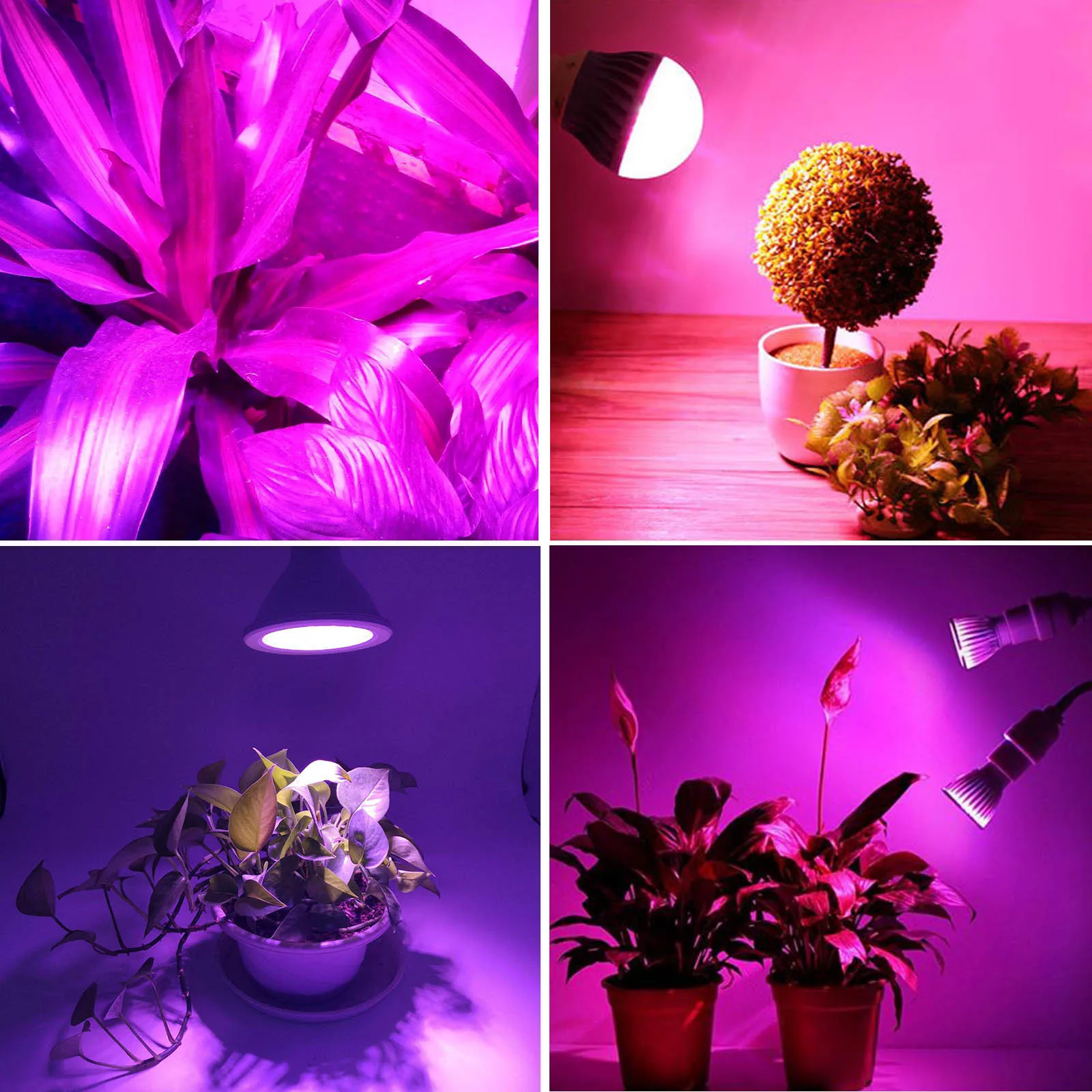 LED رقاقة 10 واط 20 واط 30 واط 50 واط 100 واط عالية الطاقة DC12V 30-32 فولت المتكاملة مصفوفة ديود الطيف الكامل تنمو ل ضوء مصنع خرزة مصباح لتقوم بها بنفسك