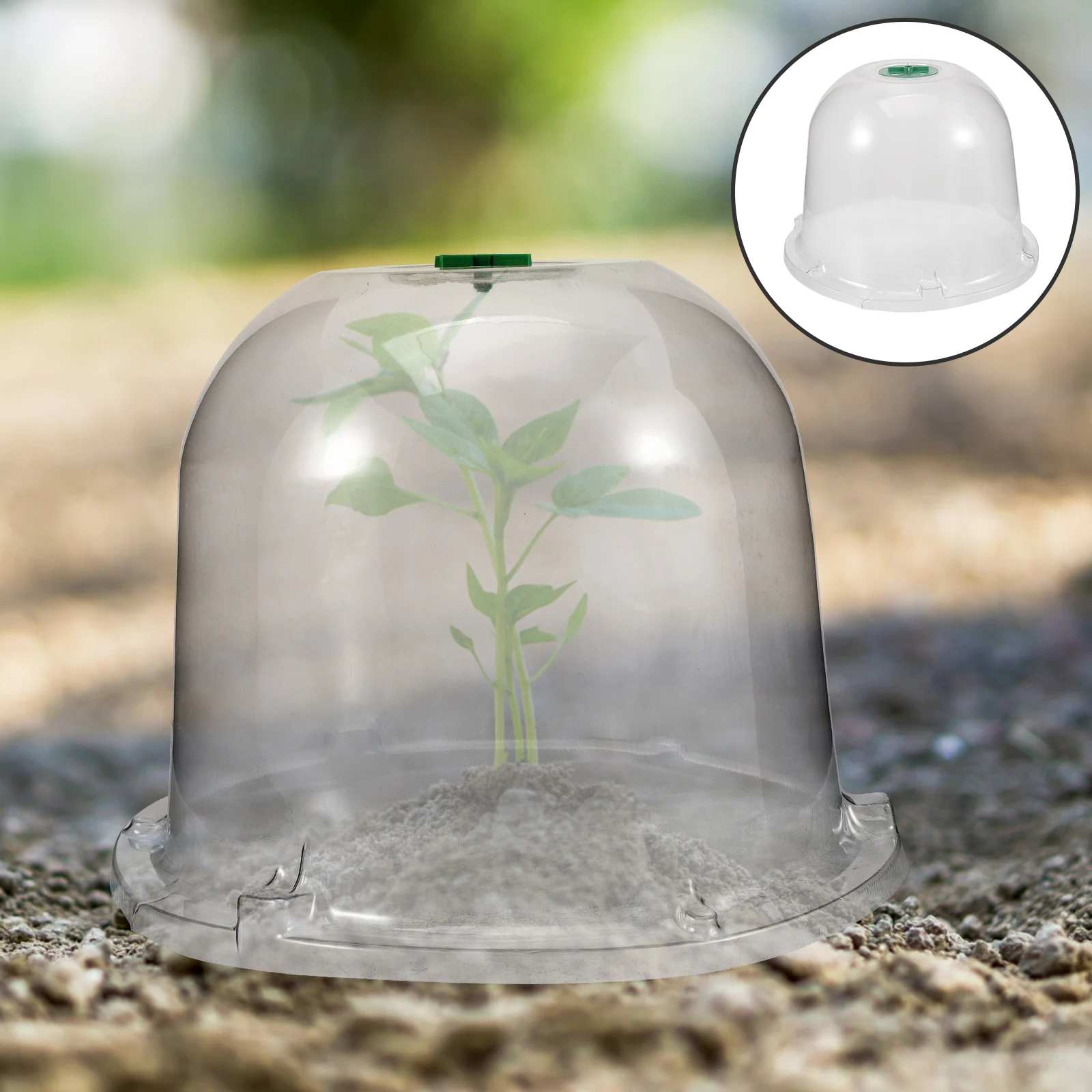 

Garden Dome Plant Cover Clear Plastic Breathable Frost Protection For Plants Winter Survival Lightweight Transparent Dome