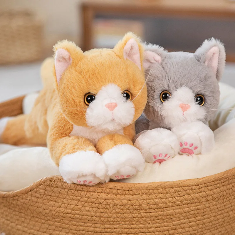 HXPLN Coussin en peluche pour chat, jouet amovible, cadeau mignon pour les enfants (8 chatons colorés HXPLN Coussin en peluche pour chat, jouet amovible, cadeau mignon pour les enfants (8 chatons colorés