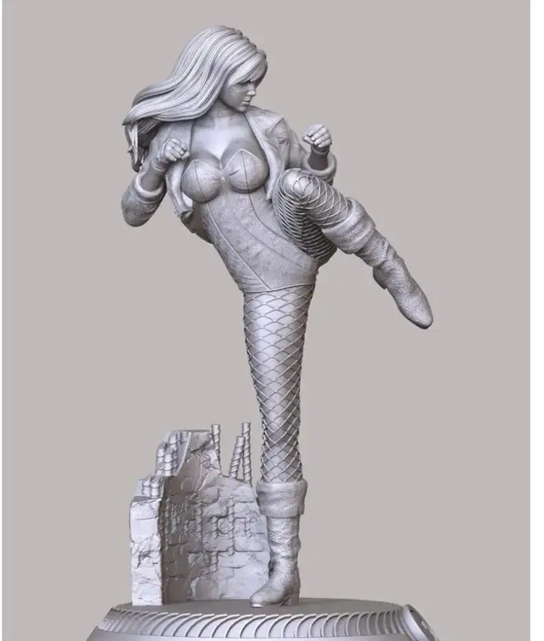 1/24 1/18 1/12 Black Canary  Unpainted Unassembled 3D Printing Resin Model Garage Kits (Requires Painting and Assembly)