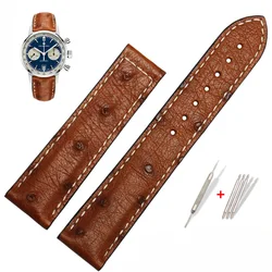 Ostrich Genuine Leather Watchband for Hamilton Jazz Series H32755851 Watch Strap Folding Clasp Bracelet Black Brown 20mm 22mm