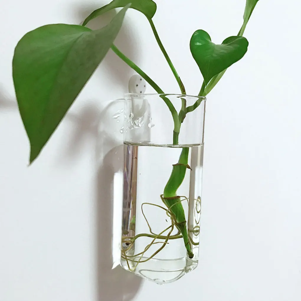 Decoration With Beautiful And Eye-catching Wall Hanging Glass Planters Wide Application Unique