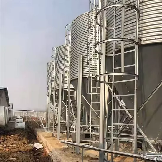 Contenedor de silo automático de acero galvanizado, sistema de equipo para aves de corral, almacenamiento de granos de ganado y maíz, Motor de almacén, nueva condición
