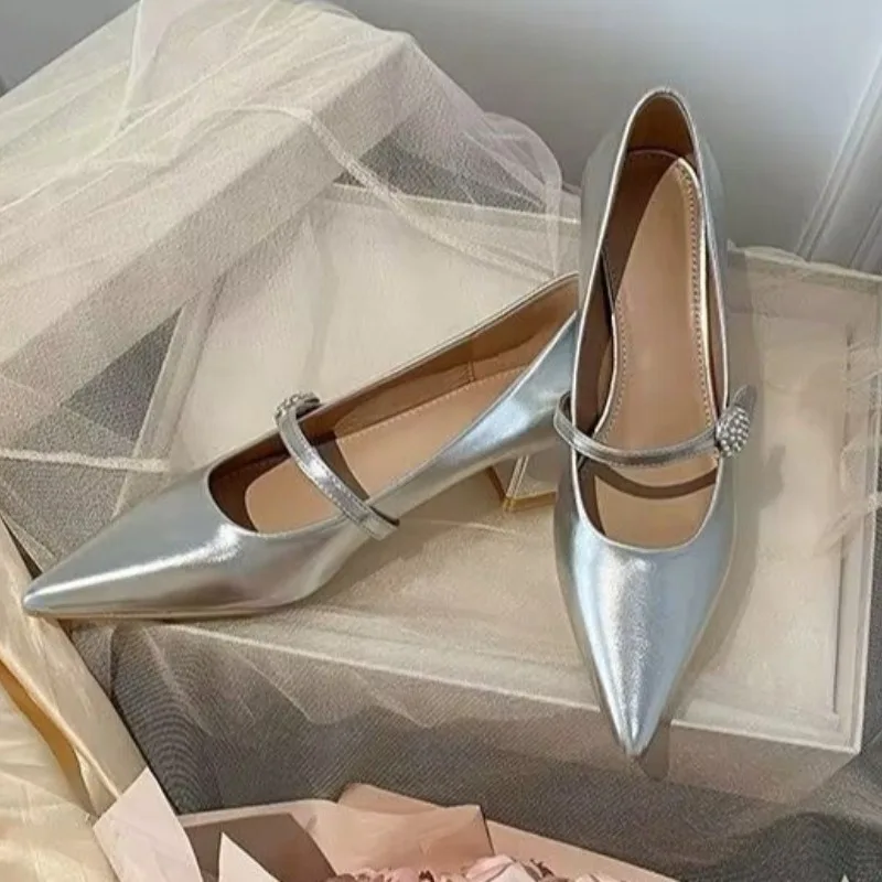 Pointed Toe Women Shoes 2024 Spring New Silver Mary Jane Shoes Comfortable Low Heel Dress Shoes Simple Versatile Women\'s Pumps