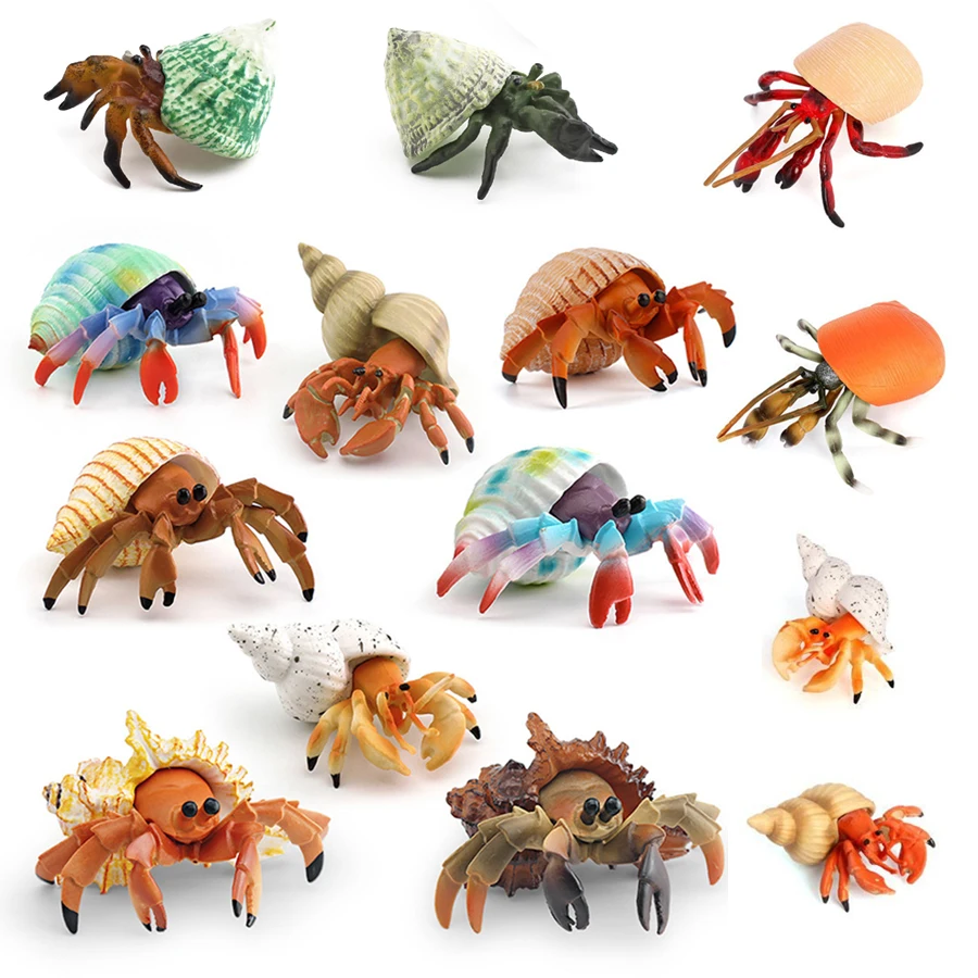 Realistic Hermit Crab Figurine Durable PVC Sea Creature Animal Model Figures Educational Toy for Kids Toddlers Boys Girls