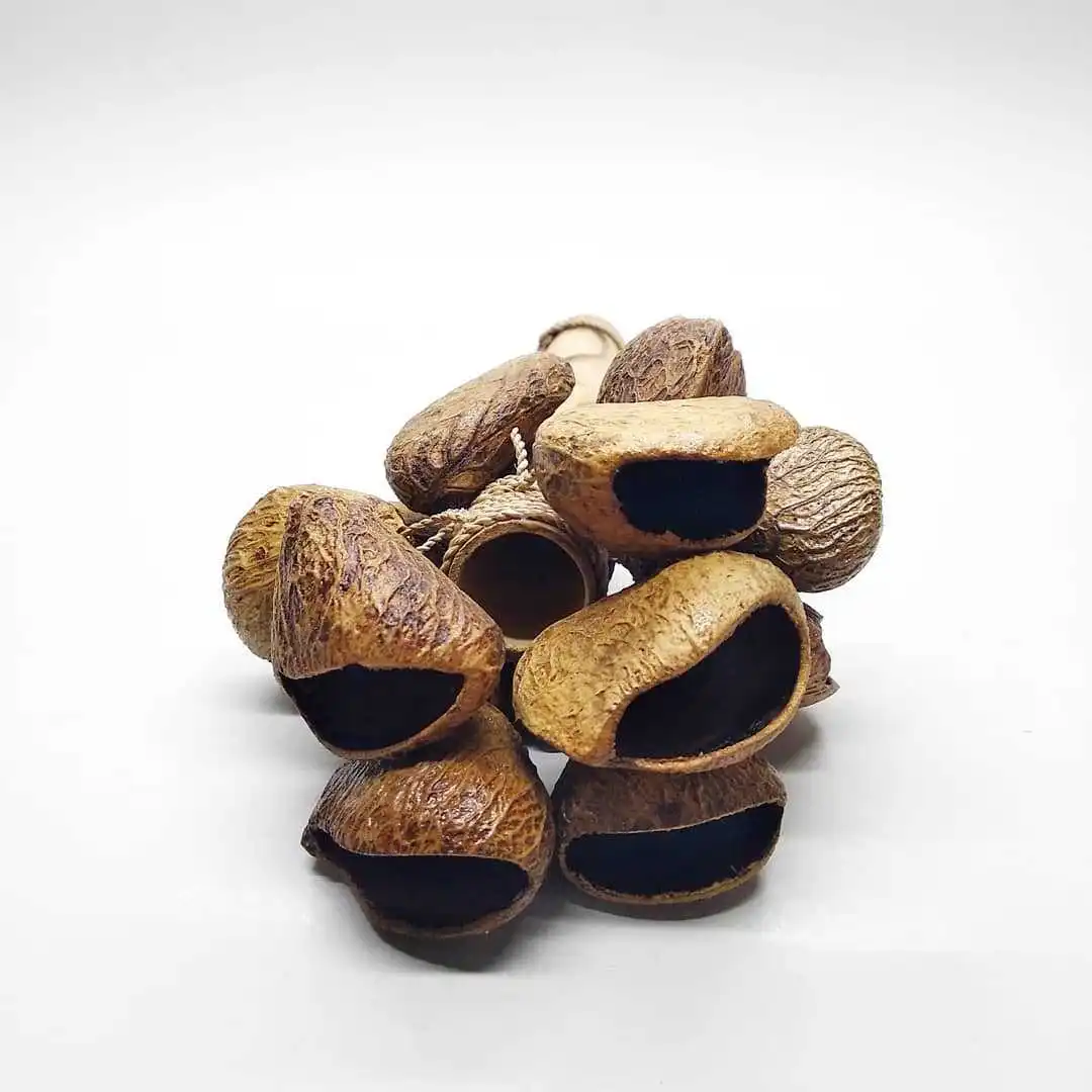 Coconut Shell Bell Creative Handmade Natural Material 27*14CM Dance Stage Performance Rhythm Sticks Orff Musical Instruments New