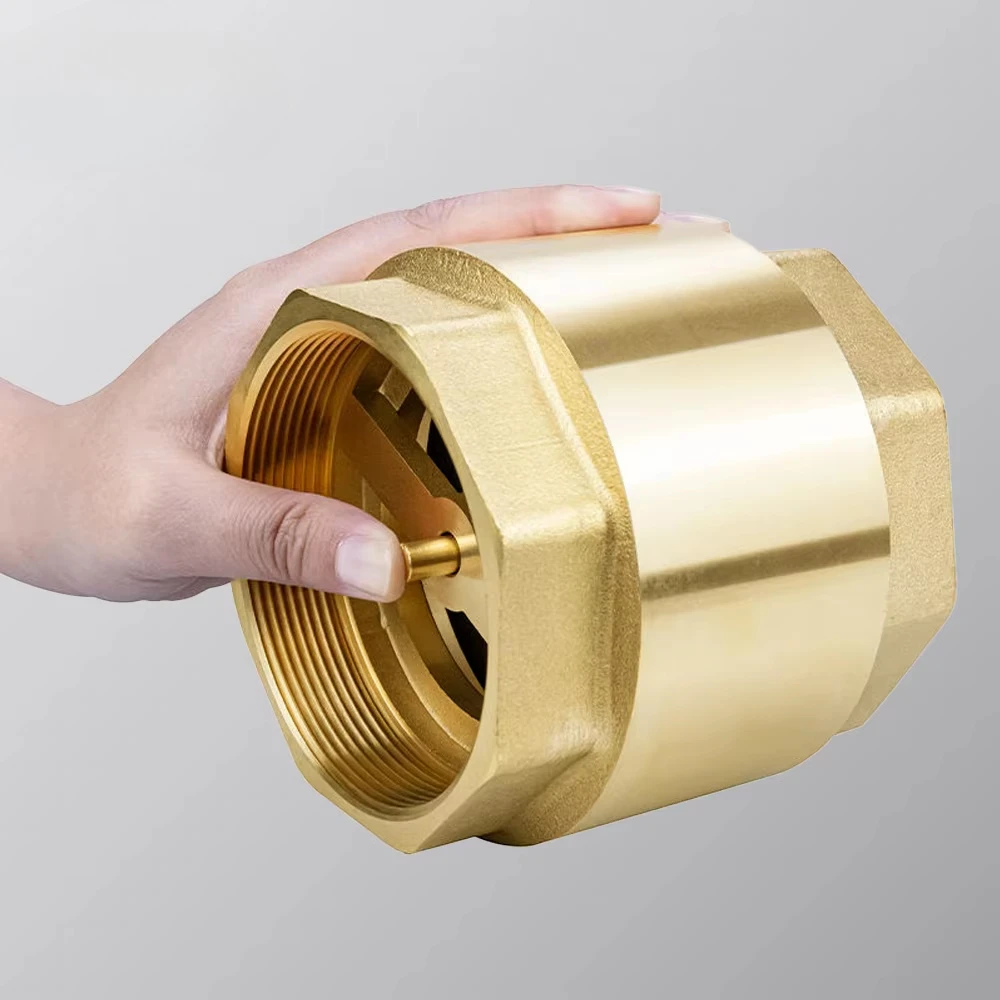 3 Inch DN80 Brass Spring Check Valve BSP Female Thread Vertical Non Return Valve for Water Pump Pipeline