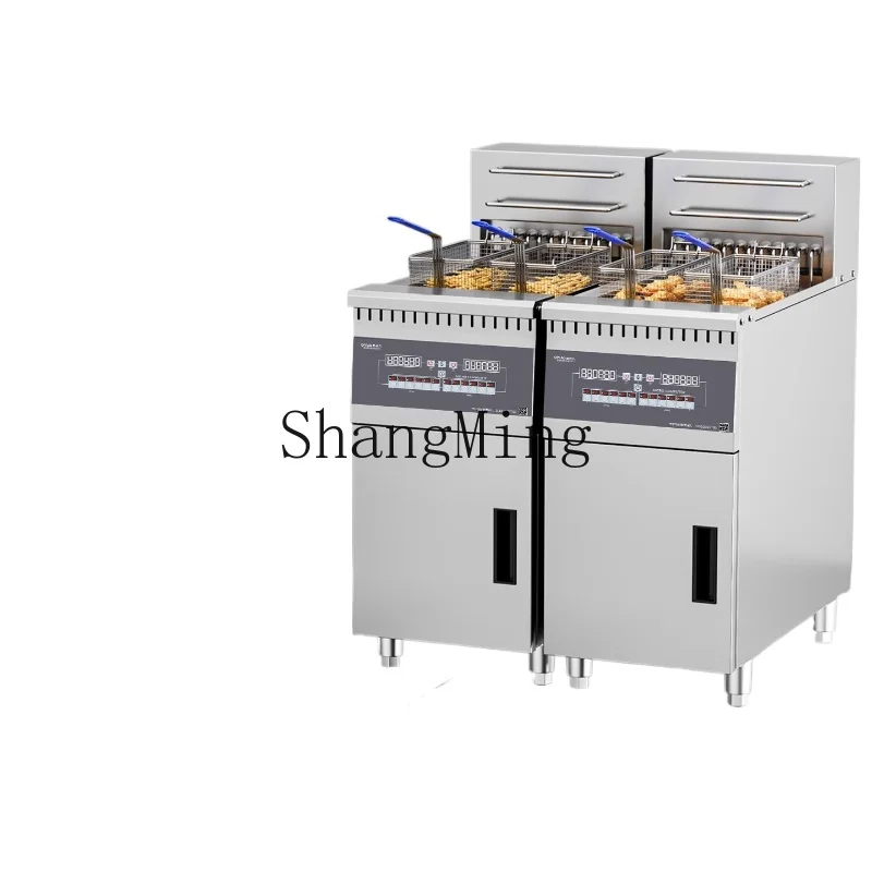 

ZYY commercial large-capacity vertical fried chicken equipment single and double cylinders with oil filter truck fryer